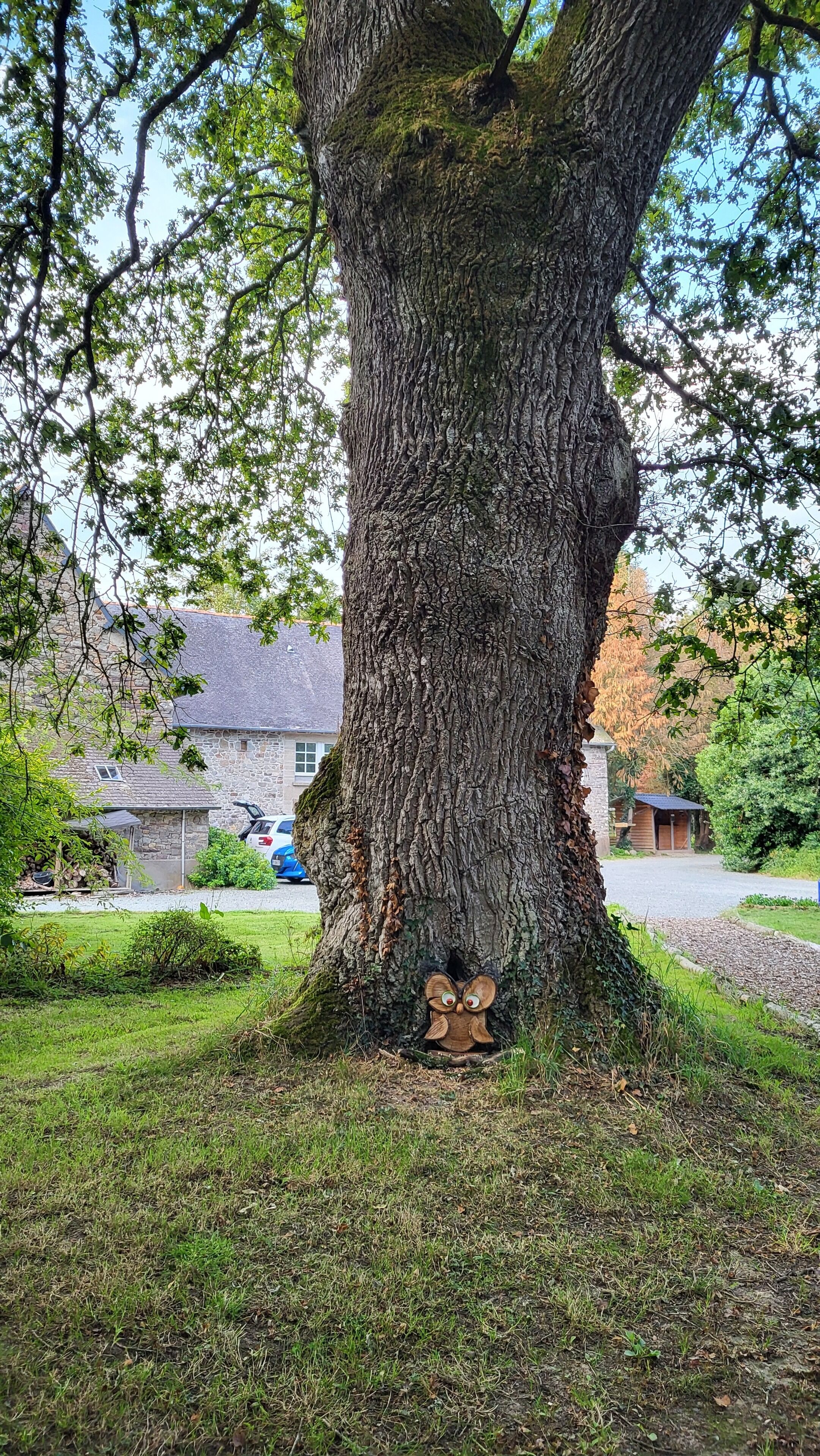 Le Domaine Insolite de Brocéliande