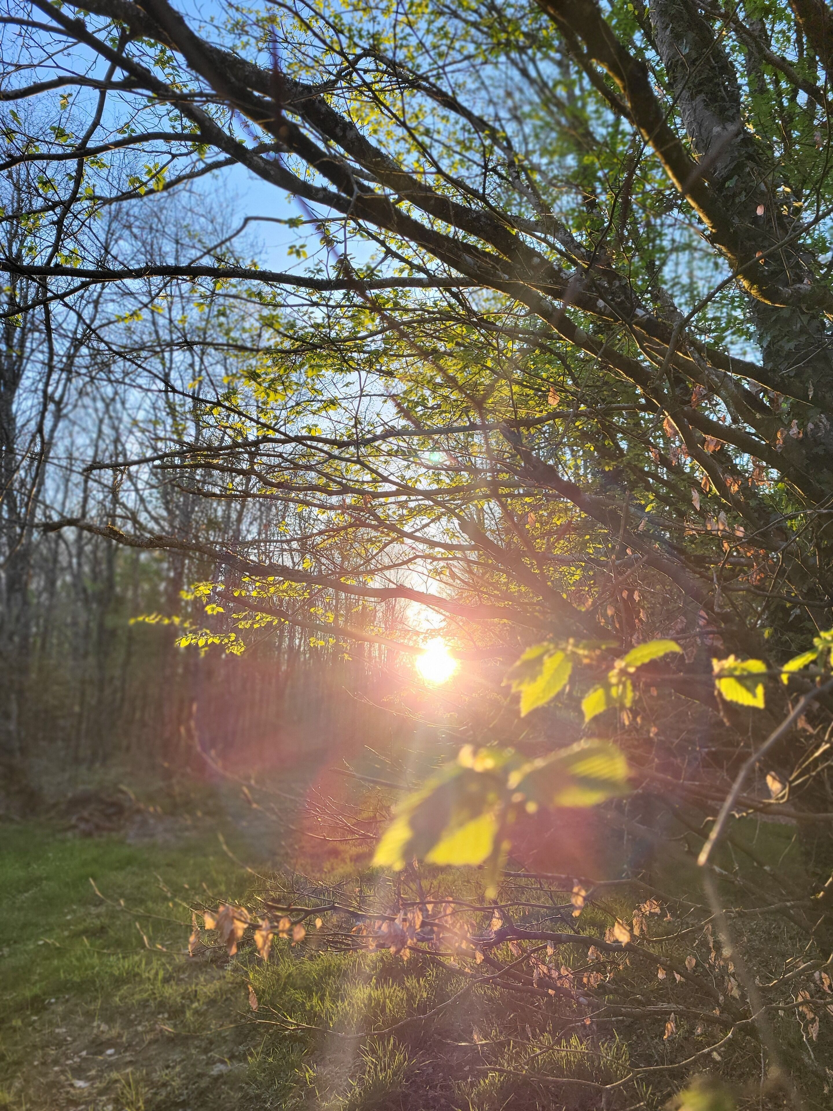 Le Domaine Insolite de Brocéliande