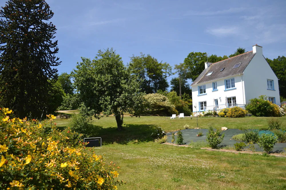 L'Araucaria