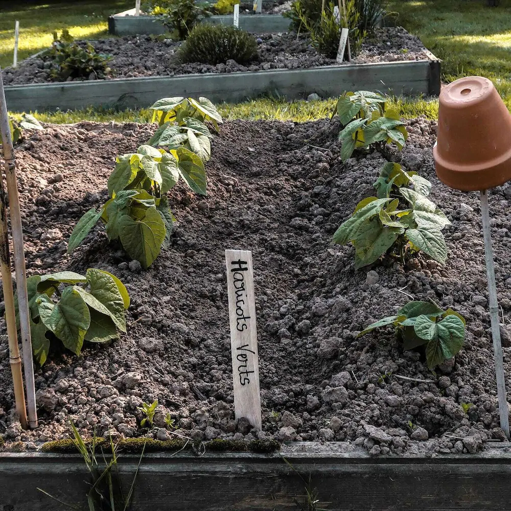 La Fee Maison Chambres D'hotes