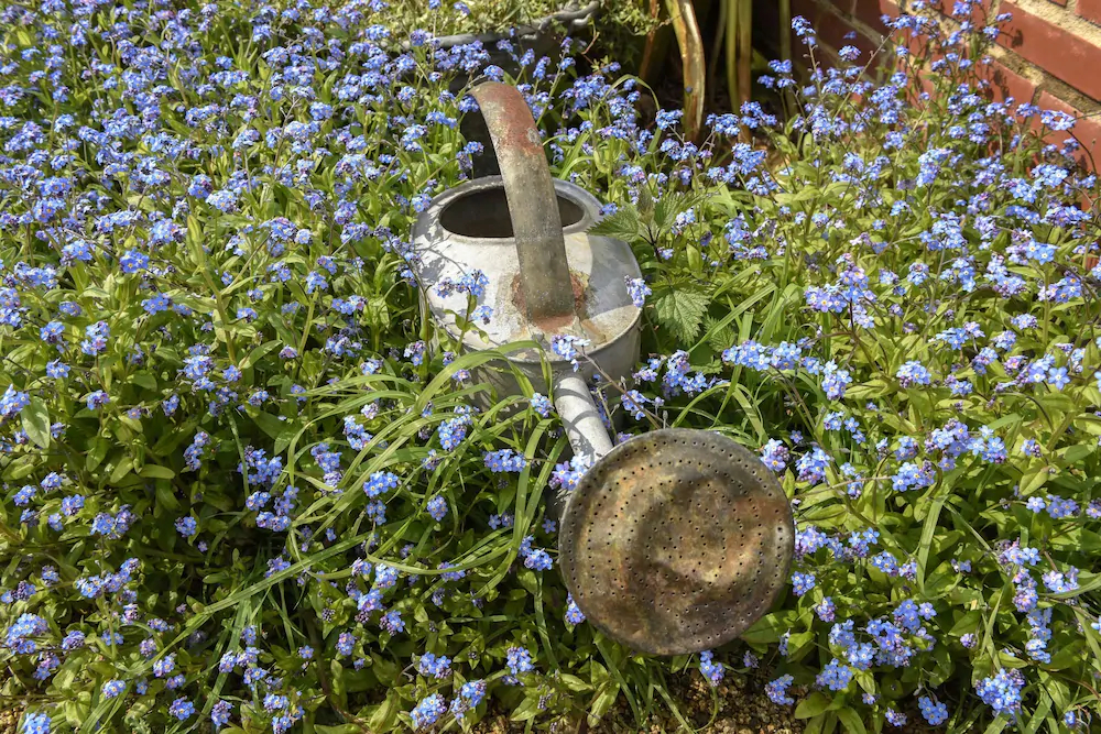 La Cabane De Charlotte