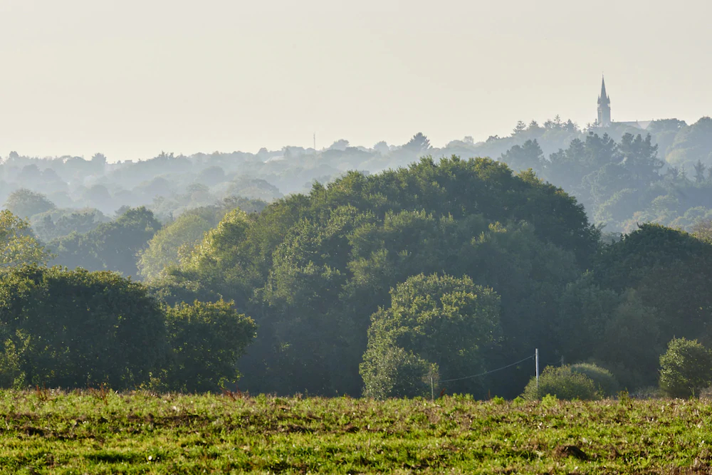 La Cabane De Charlotte