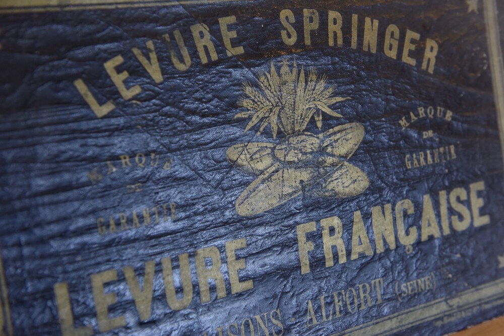 Le Rêve de Jules