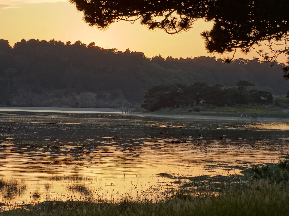 Hôtel La Voile d'Or - La Lagune
