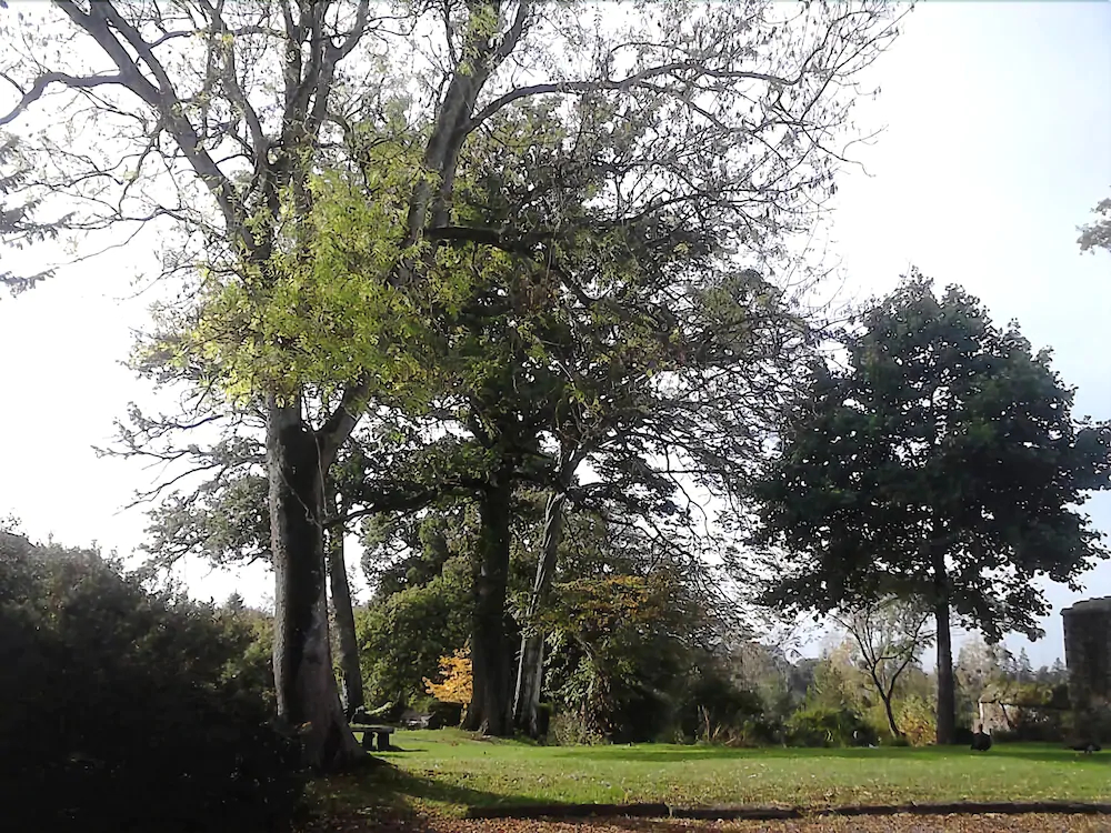 Domaine De La Haye D'Irée