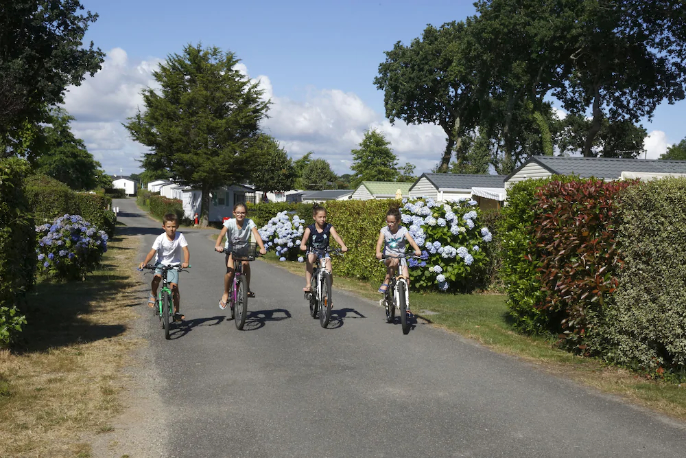 Camping Domaine De Pendruc