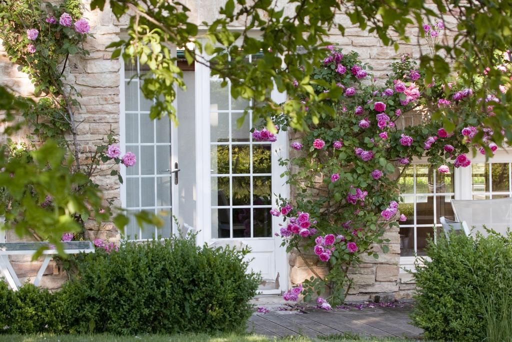 Villa Louise