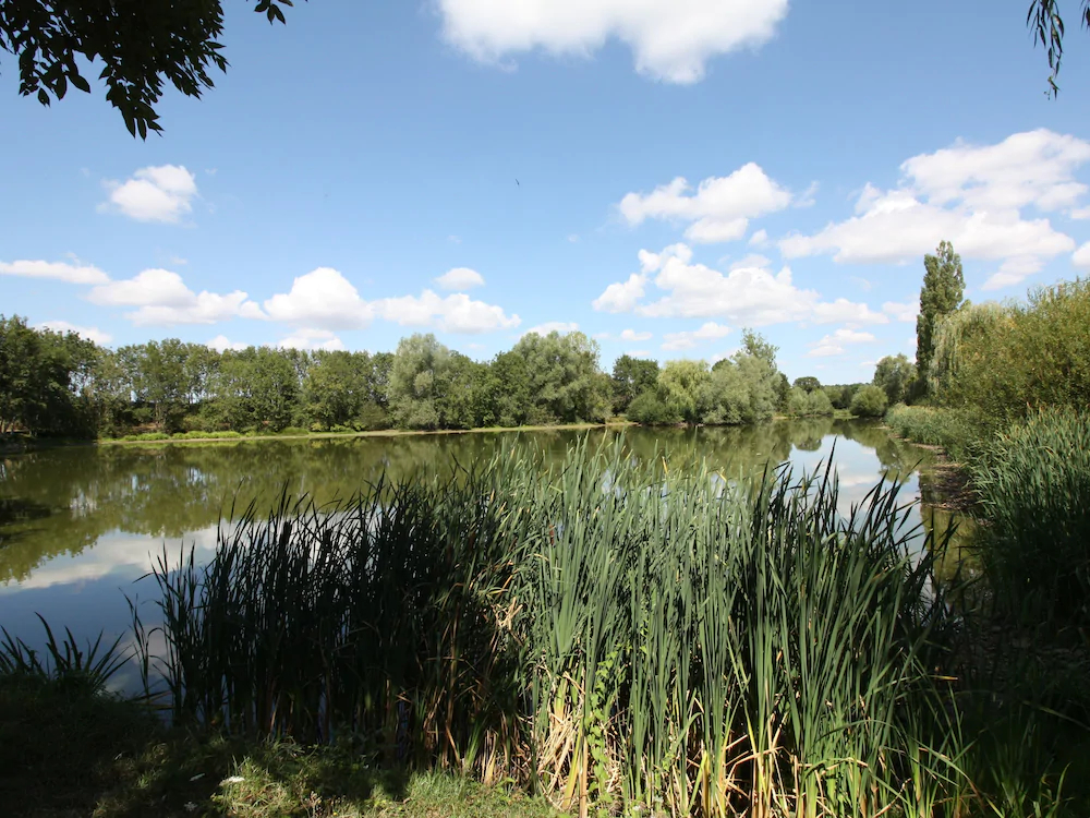 Maison De L'Etang