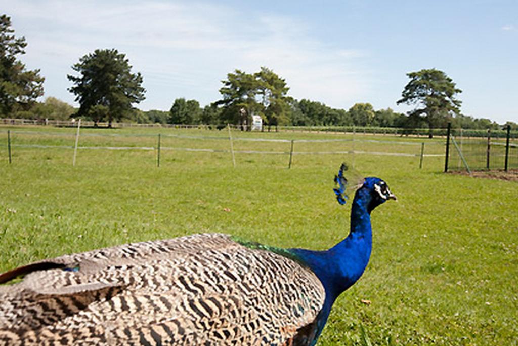 The Originals City Hotel La Vieille Ferme Mâcon Nord