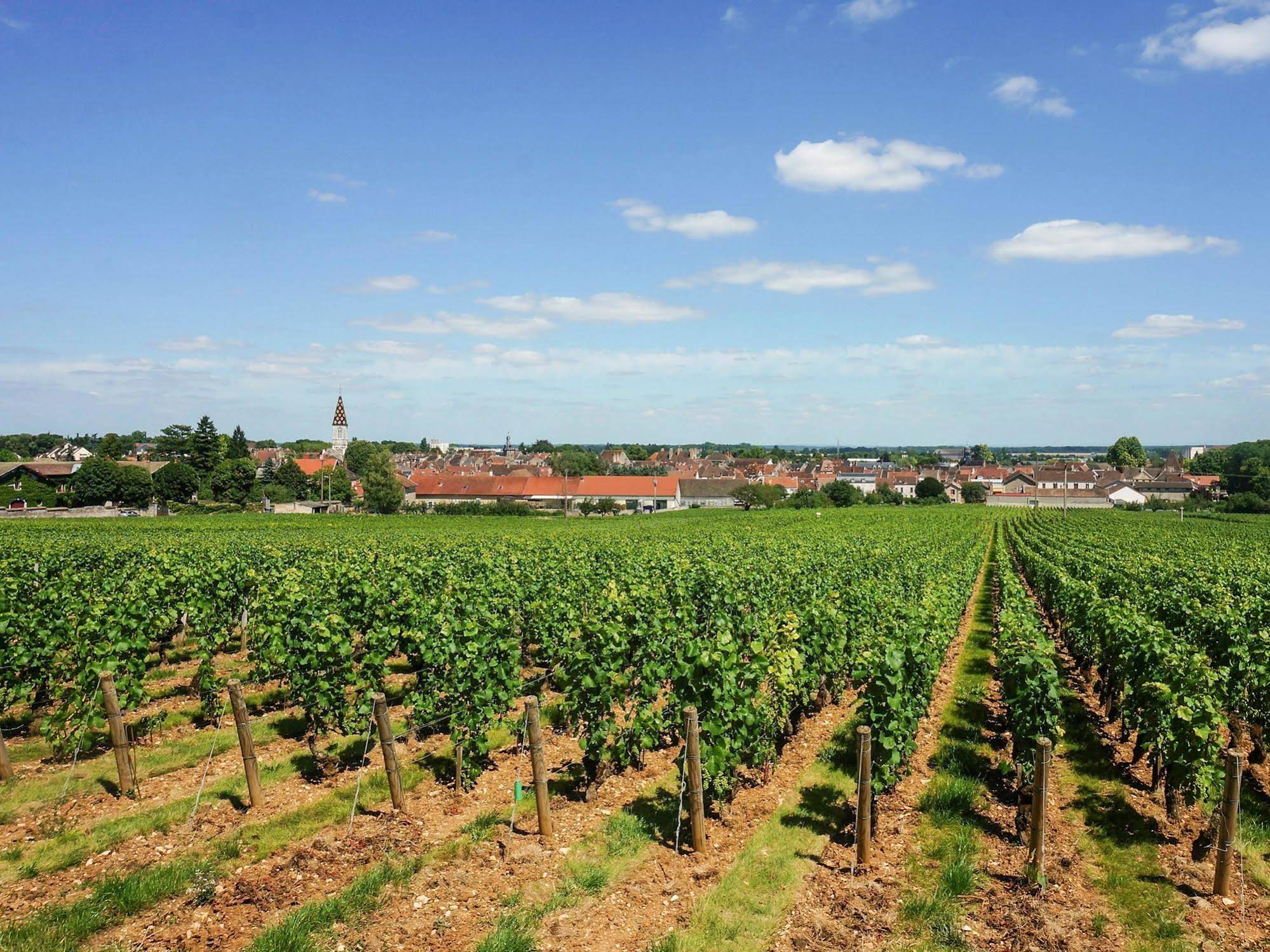 ibis budget Nuits-Saint-Georges