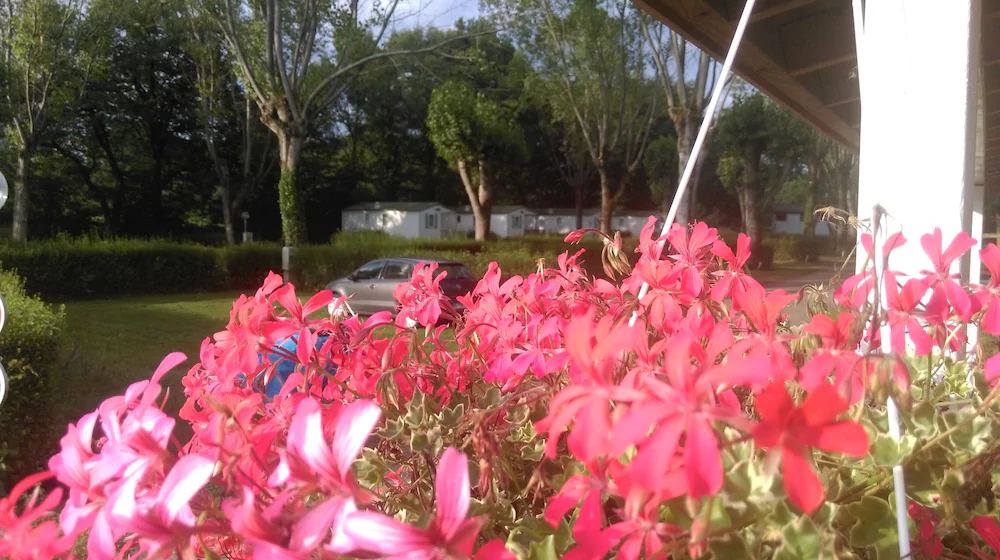 Camping Du Pont Vert