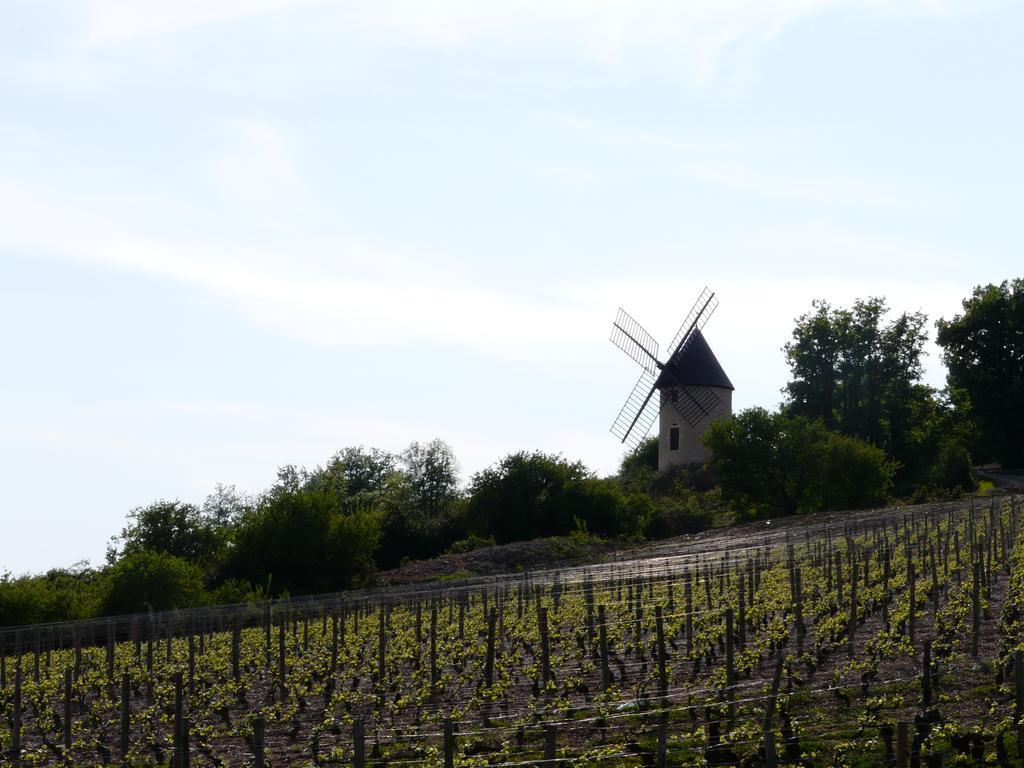 La Chouette