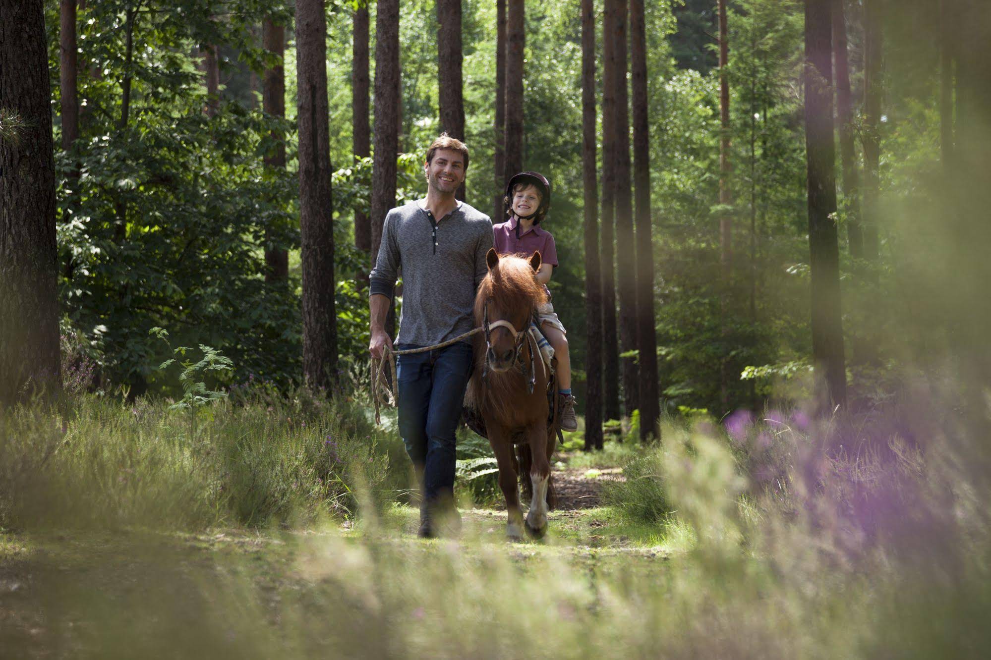 Center Parcs Park Les Hauts de Bruyéres