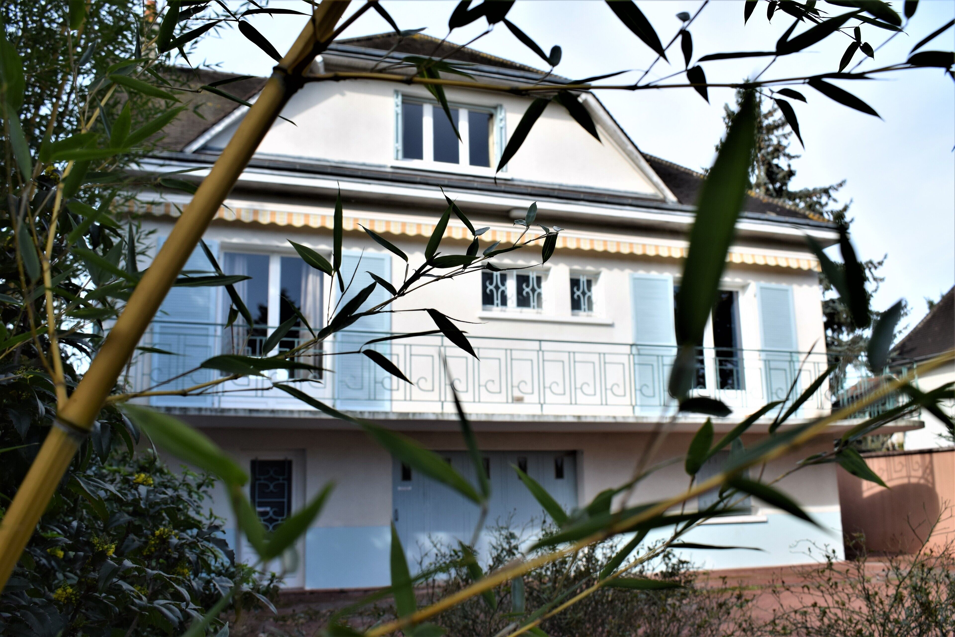 Villa Palmera