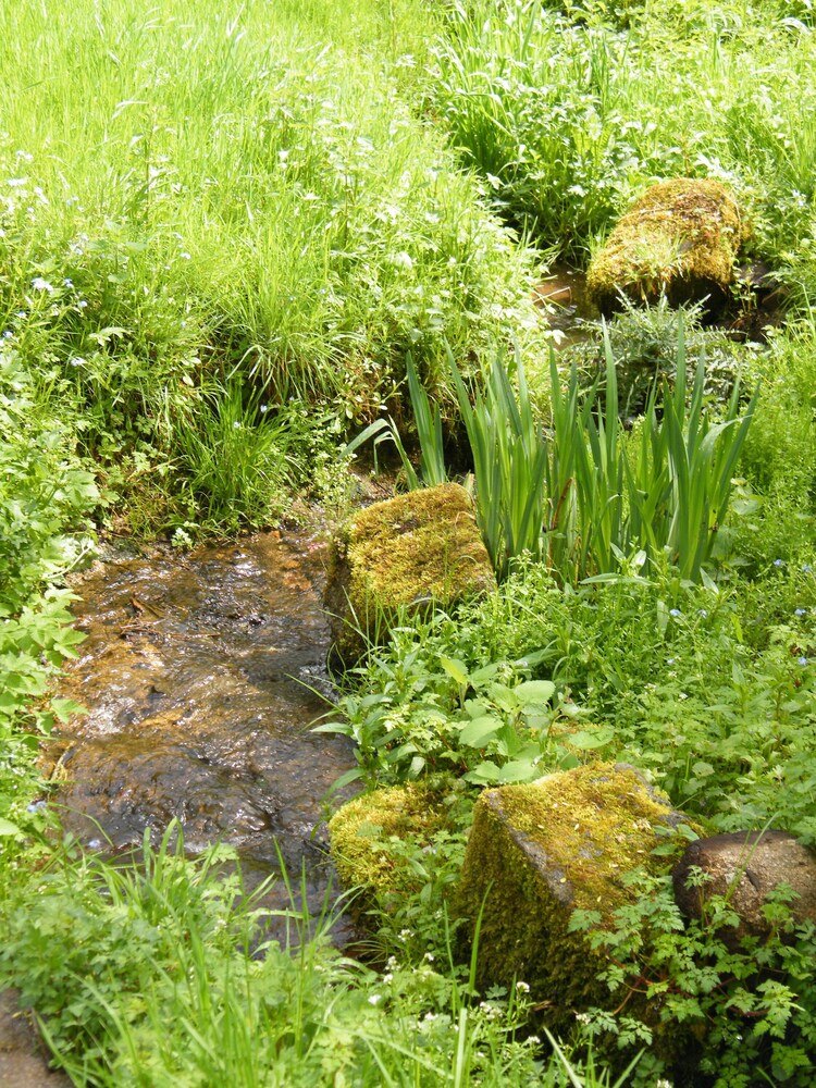 Le Moulin Du Chet