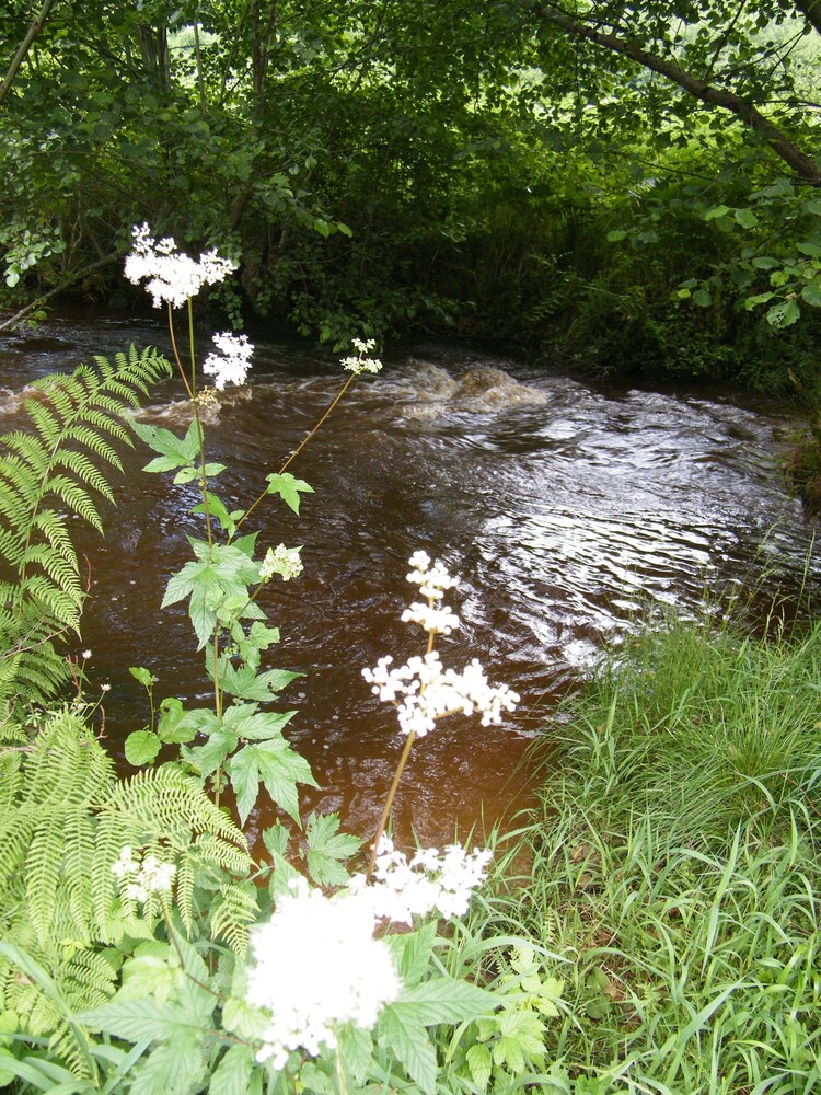Le Moulin Du Chet