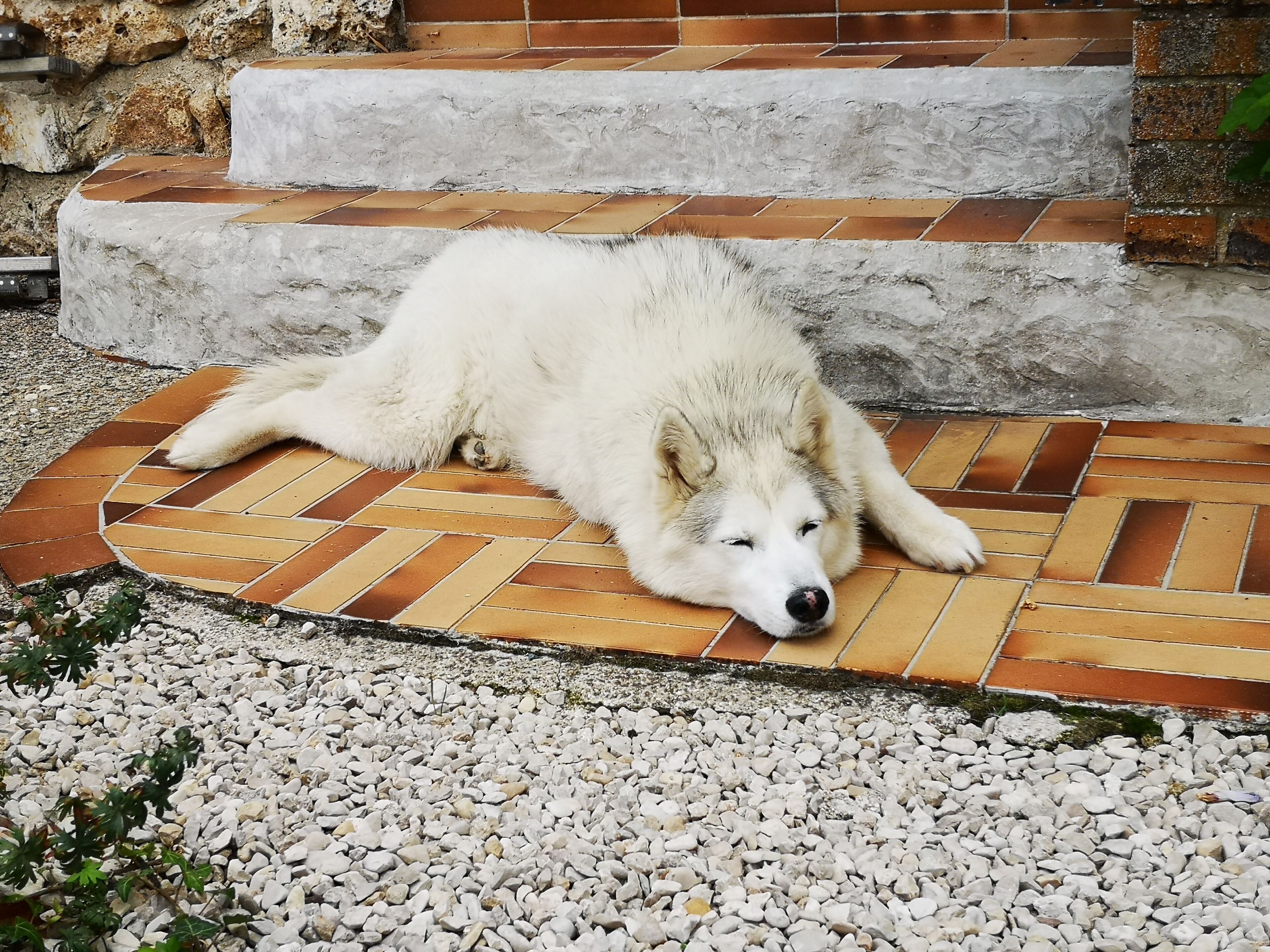 Le Temps Dune Pause A Boursault