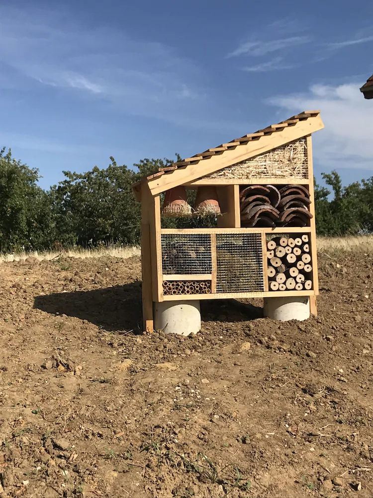 Les Bois De Champagne Le Nordique