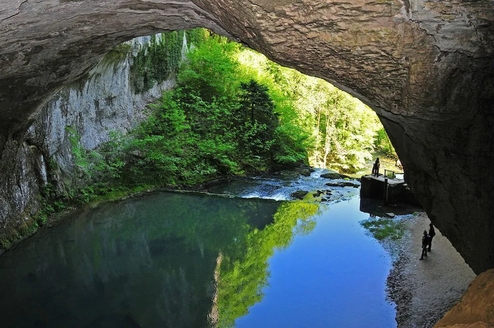 Le Champ des Lys