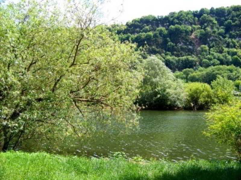 Amarante