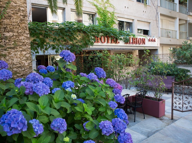 Hotel Albion