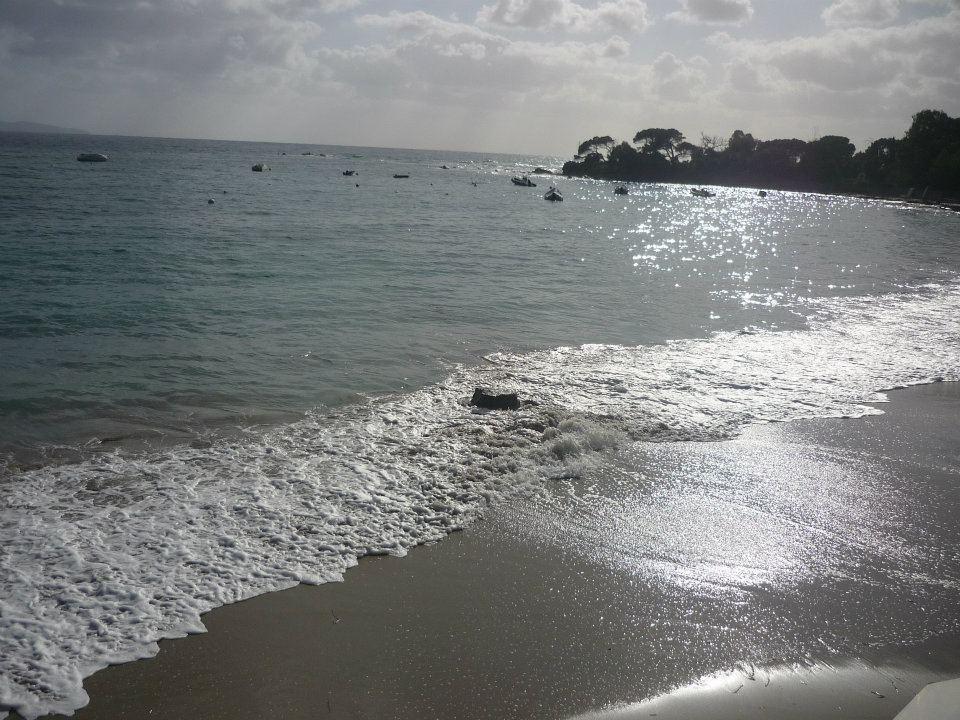 Palm Beach Hotel & Spa Restaurants