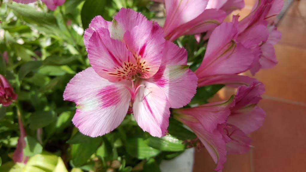 de la Plage Santa Vittoria