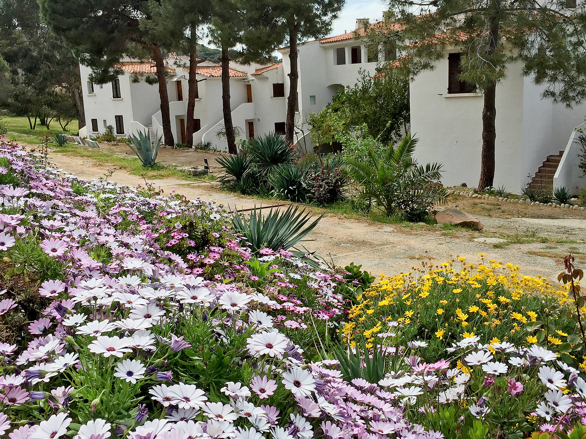 Résidence Punta Paliagi