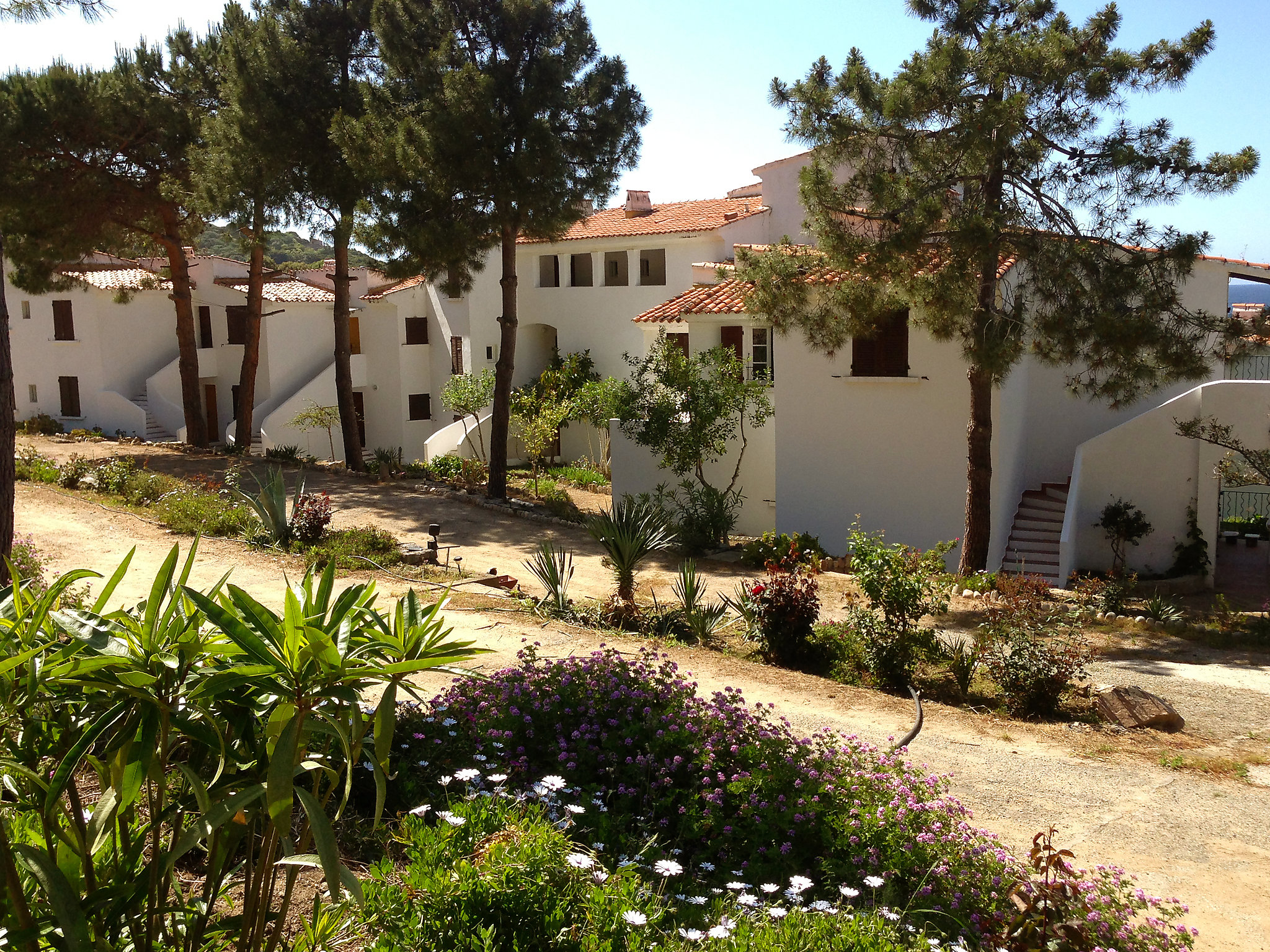 Résidence Punta Paliagi