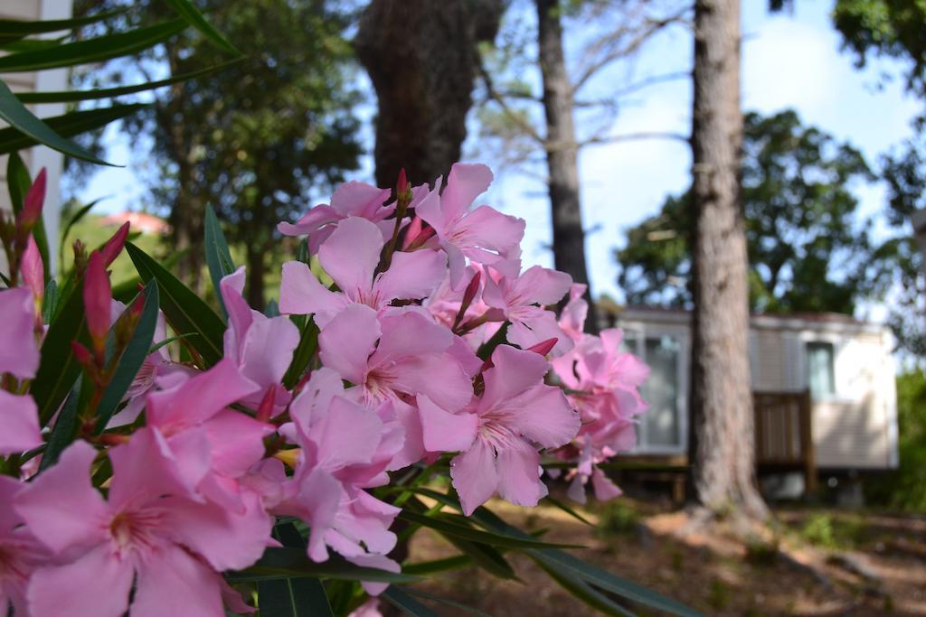 Les Pavillons du Golfe