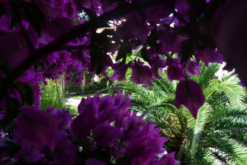 Les Pavillons du Golfe