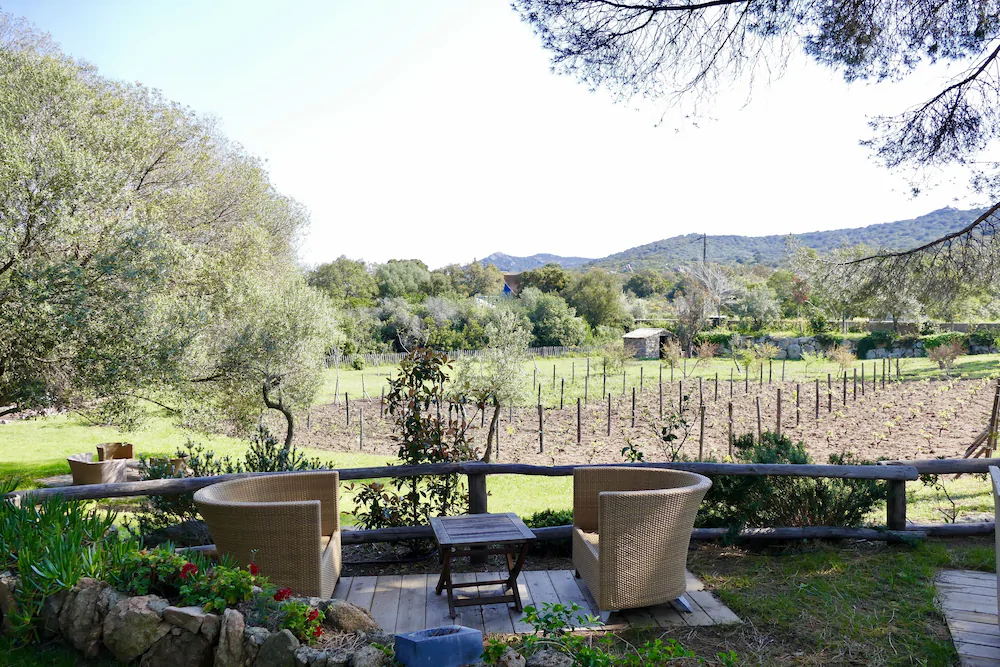 Ferme Auberge Pozzo Di Mastri