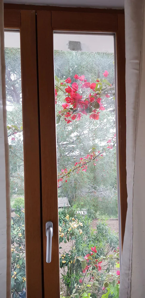 L'Orca di San Gavinu