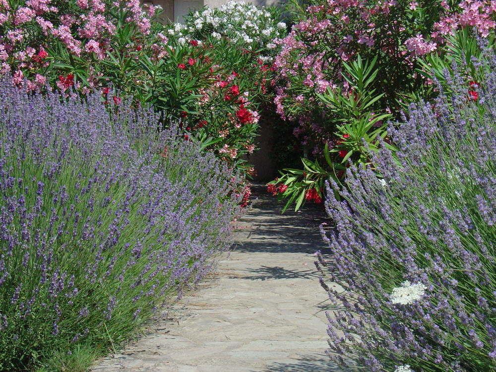 Residence Fiori Di Cala Rossa