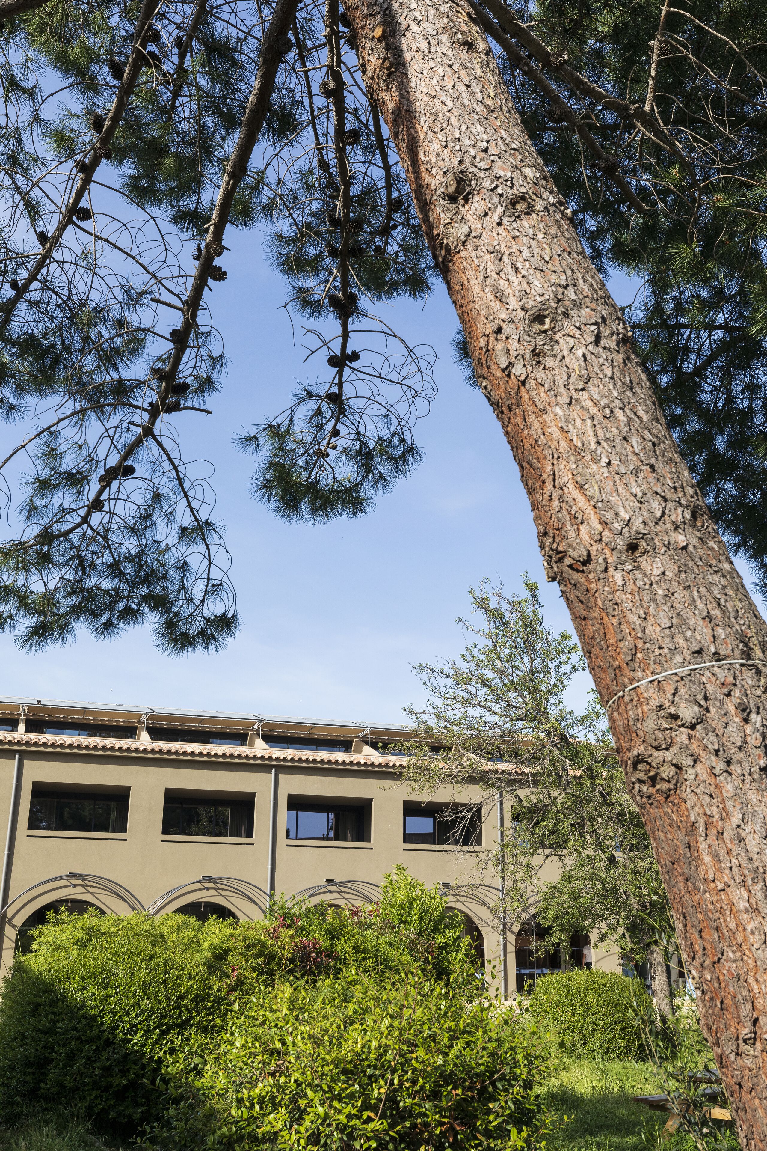 Hôtel & Spa Son de Mar