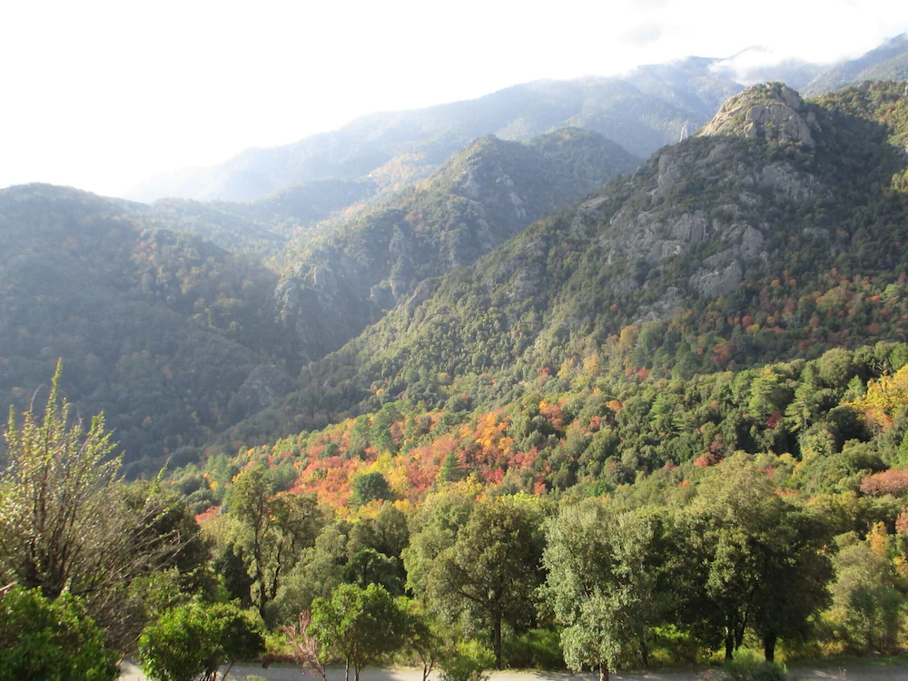 Les Terrasses De Nazza