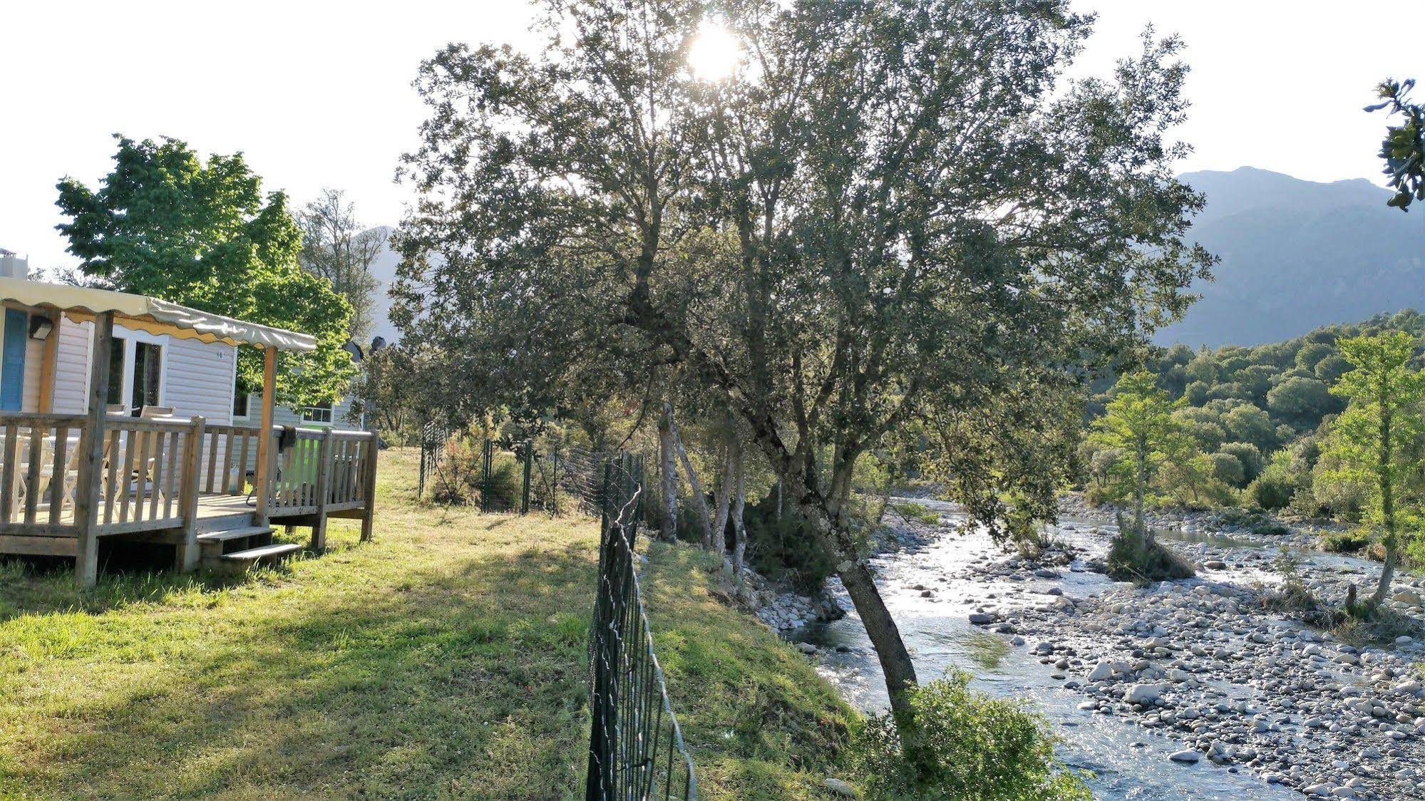 E Canicce