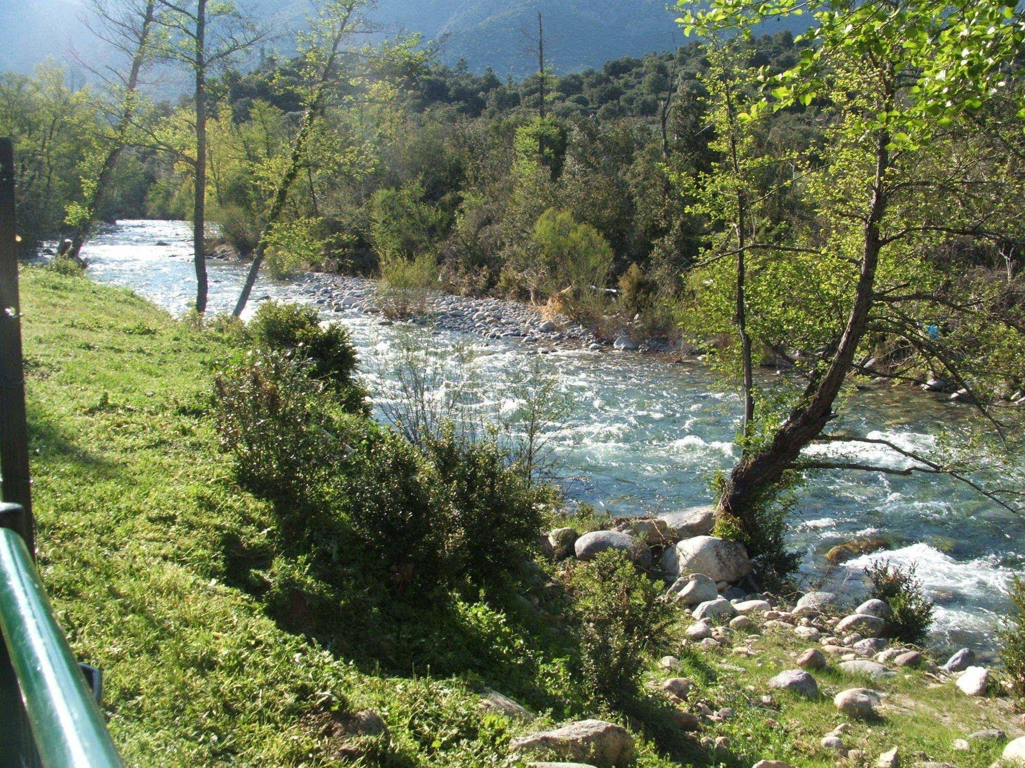 E Canicce