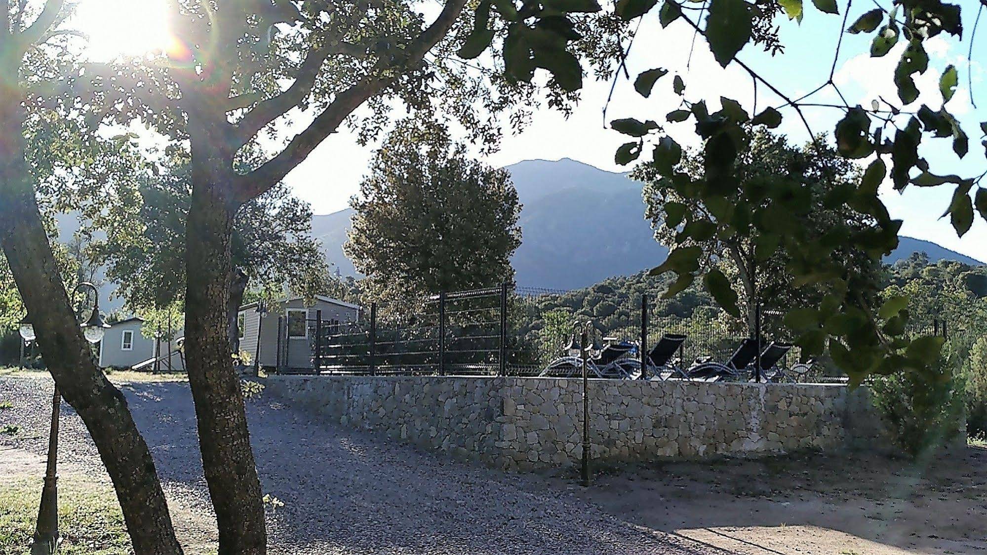 E Canicce