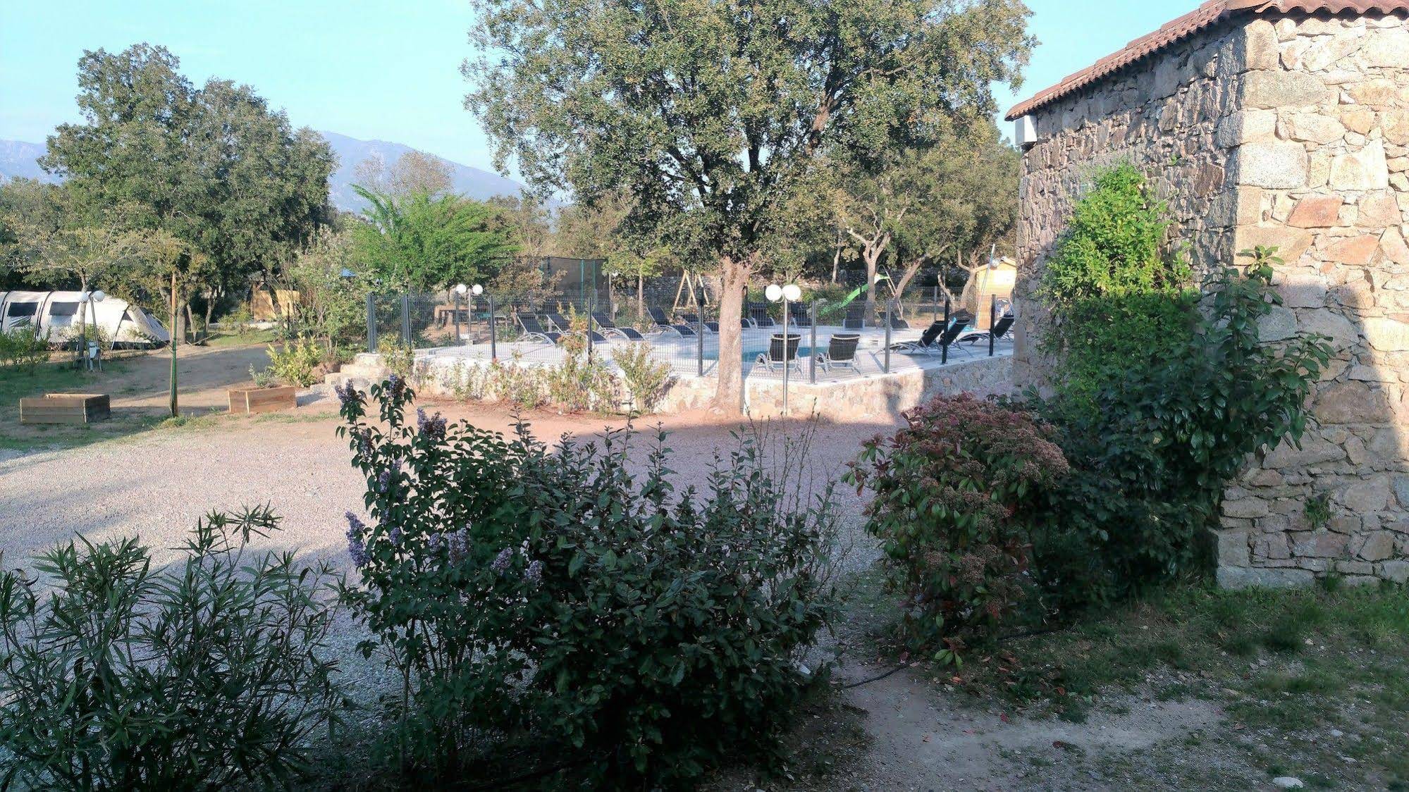 E Canicce