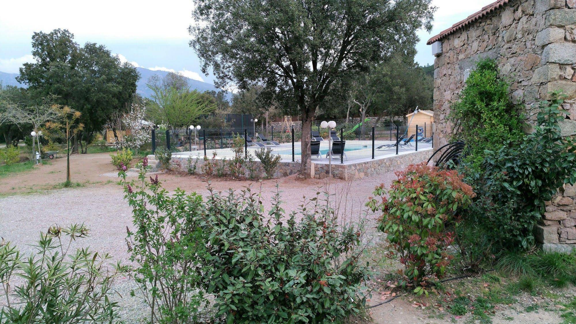 E Canicce