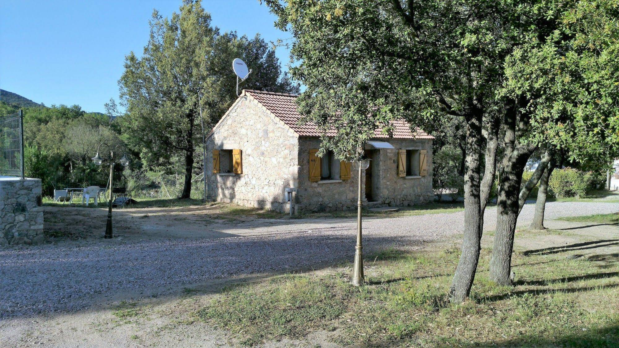E Canicce