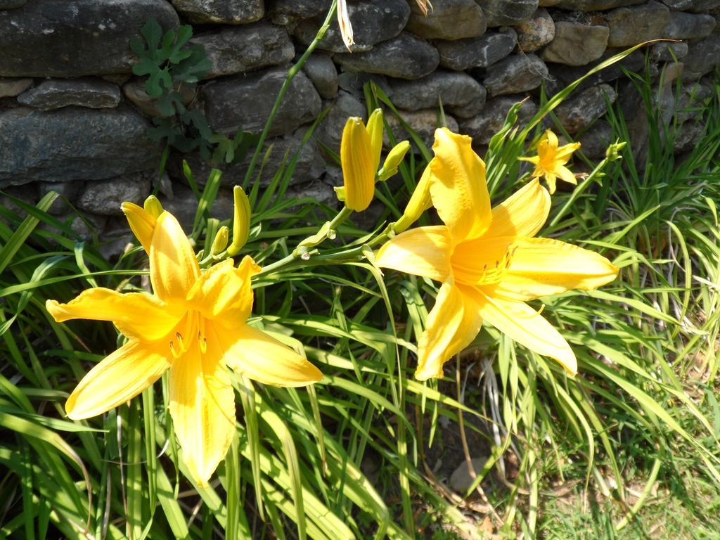 Le Clos des Vendanges