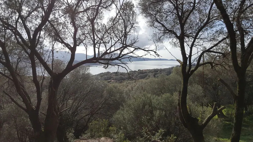 Residence A Tribbia