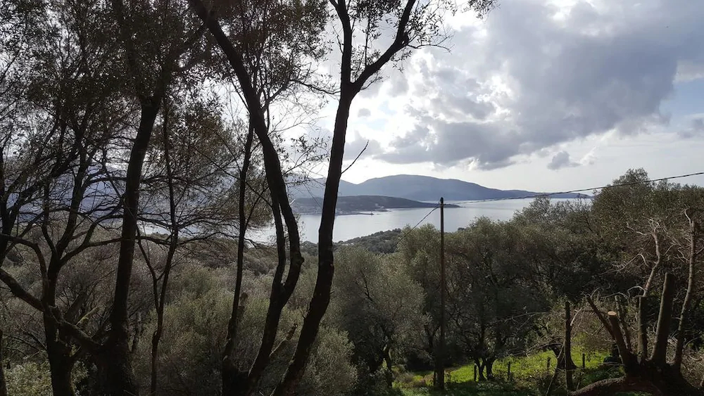 Residence A Tribbia