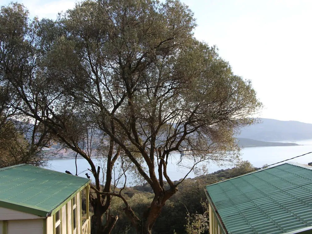 Residence A Tribbia