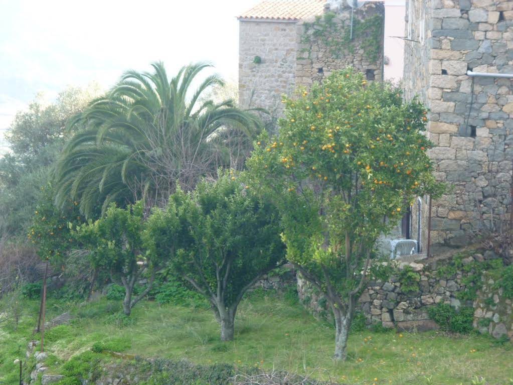 Villa Les Orangers