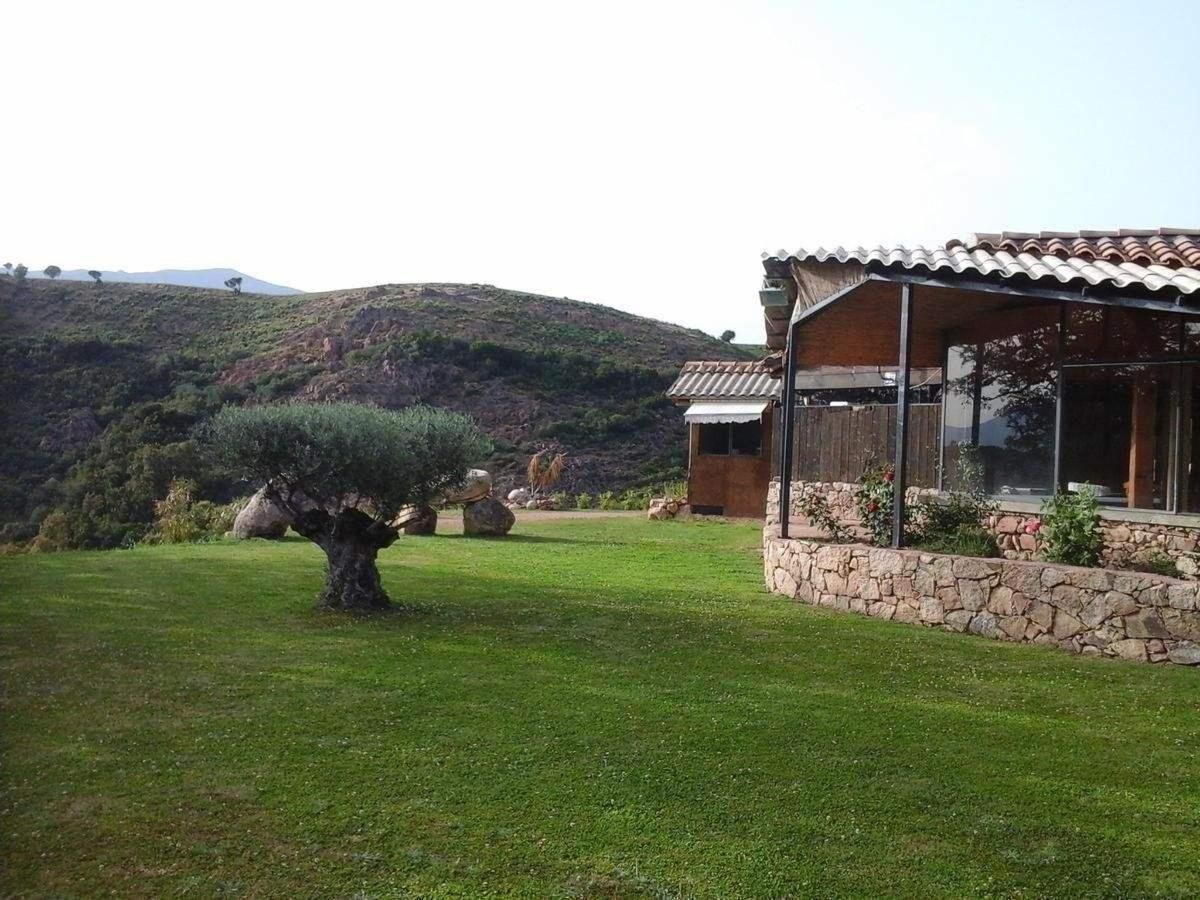 Mobile Home A Saliva