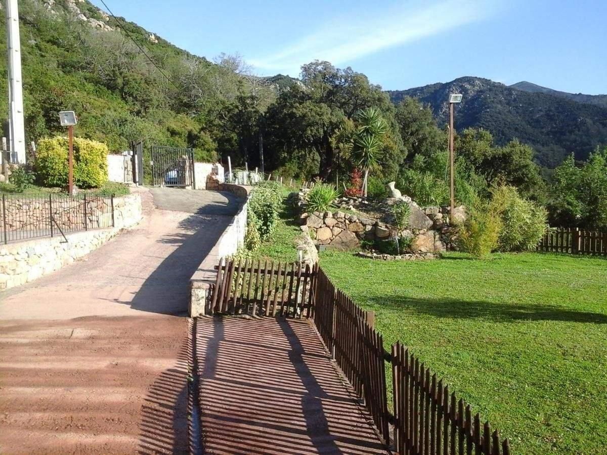 Mobile Home A Saliva