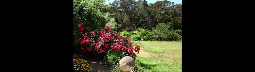 Les Residences De Scaglione